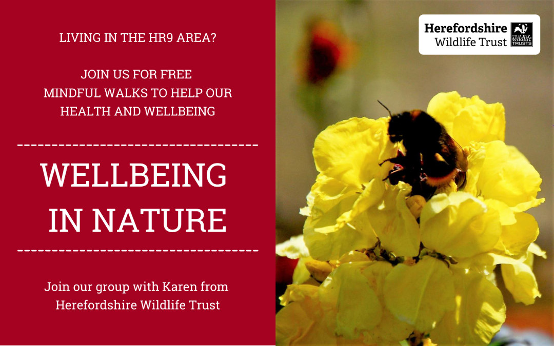 Wellbeing in Nature
